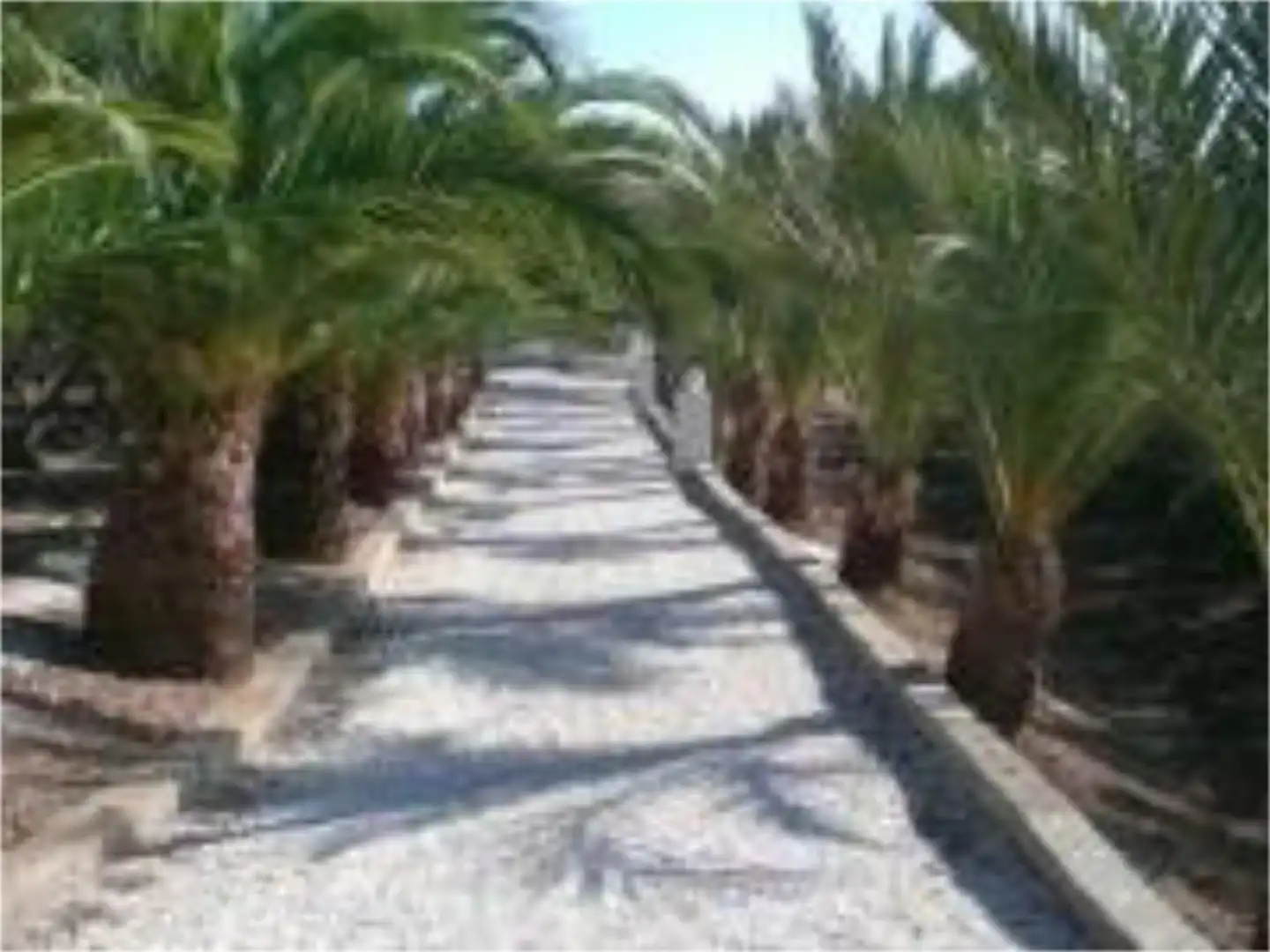 Casa o xalet de lloguer a Callejon Pitaco, 1, Pozo de los Frailes - Presillas - Albaricoques