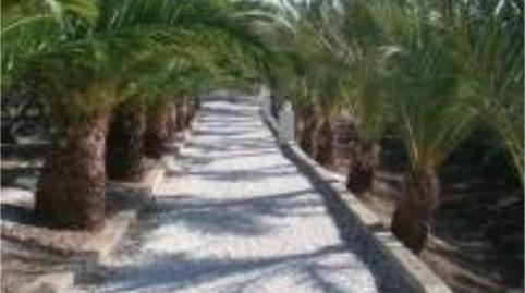 Finca rústica de lloguer a Callejon Pitaco, 1, Pozo de los Frailes - Presillas - Albaricoques, Almería - imatge 2 Foto 2 de Finca rústica de lloguer a Callejon Pitaco, 1, Pozo de los Frailes - Presillas - Albaricoques, Almería