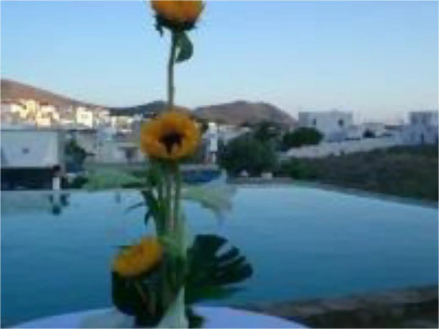 Casa o xalet de lloguer a Callejon Pitaco, 1, Pozo de los Frailes - Presillas - Albaricoques