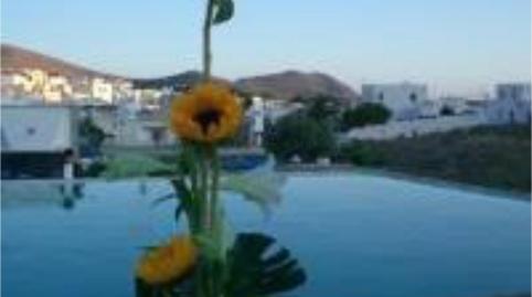 Finca rústica de lloguer a Callejon Pitaco, 1, Pozo de los Frailes - Presillas - Albaricoques, Almería - imatge 3 Foto 3 de Finca rústica de lloguer a Callejon Pitaco, 1, Pozo de los Frailes - Presillas - Albaricoques, Almería