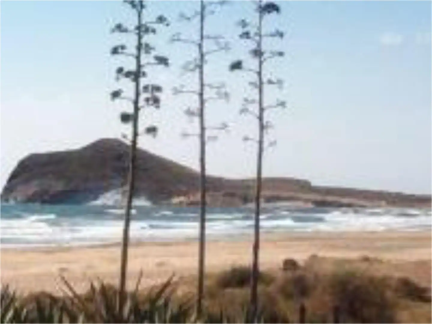 Casa o xalet de lloguer a Callejon Pitaco, 1, Pozo de los Frailes - Presillas - Albaricoques