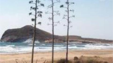 Finca rústica de lloguer a Callejon Pitaco, 1, Pozo de los Frailes - Presillas - Albaricoques, Almería - imatge 4 Foto 4 de Finca rústica de lloguer a Callejon Pitaco, 1, Pozo de los Frailes - Presillas - Albaricoques, Almería