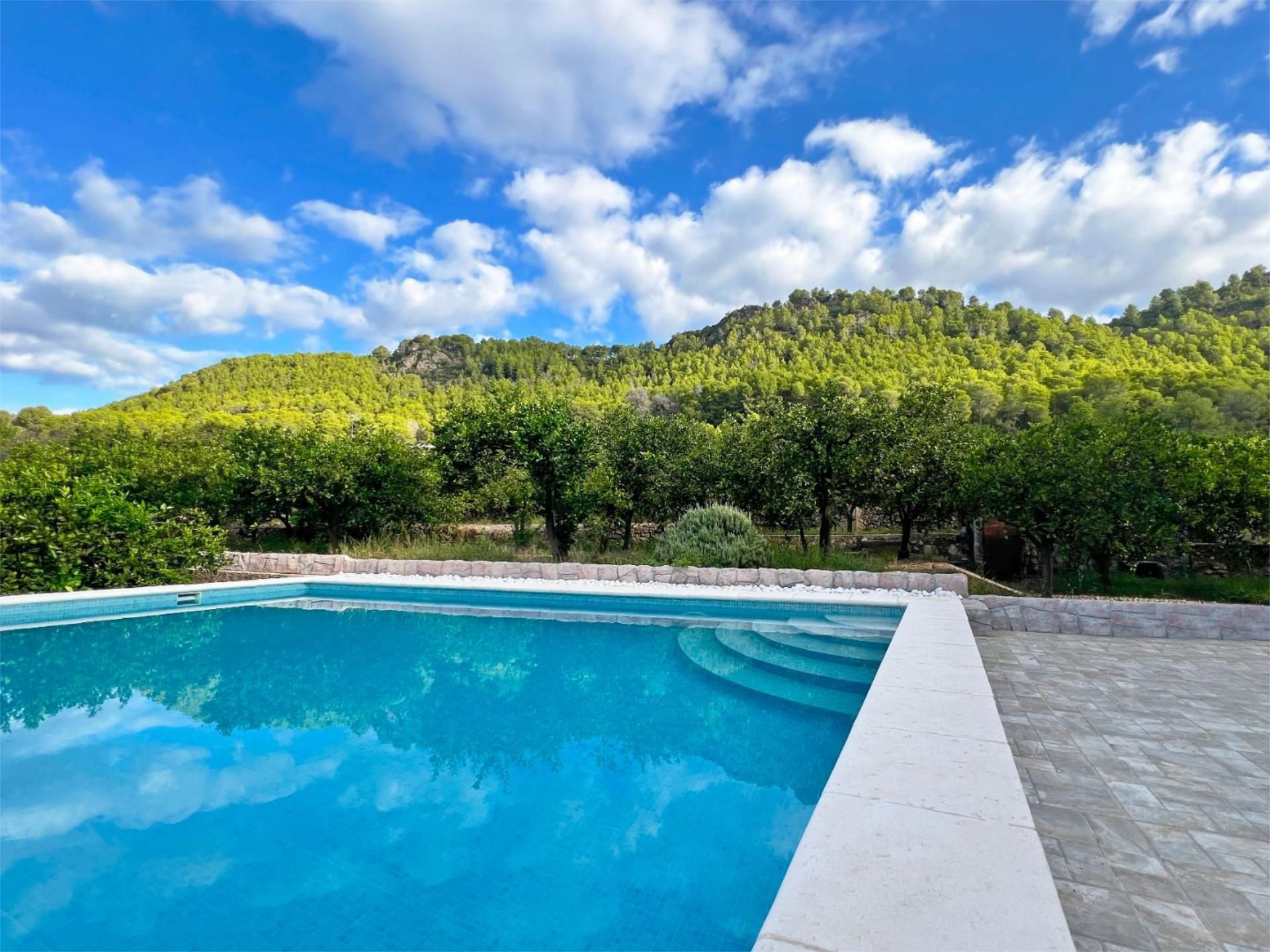 House or chalet for sale in Plaça Poligono 16, 376, Urbanitzacions i Pedanies Sud Garden of House or chalet for sale in Alzira  with Air Conditioner, Terrace and Swimming Pool