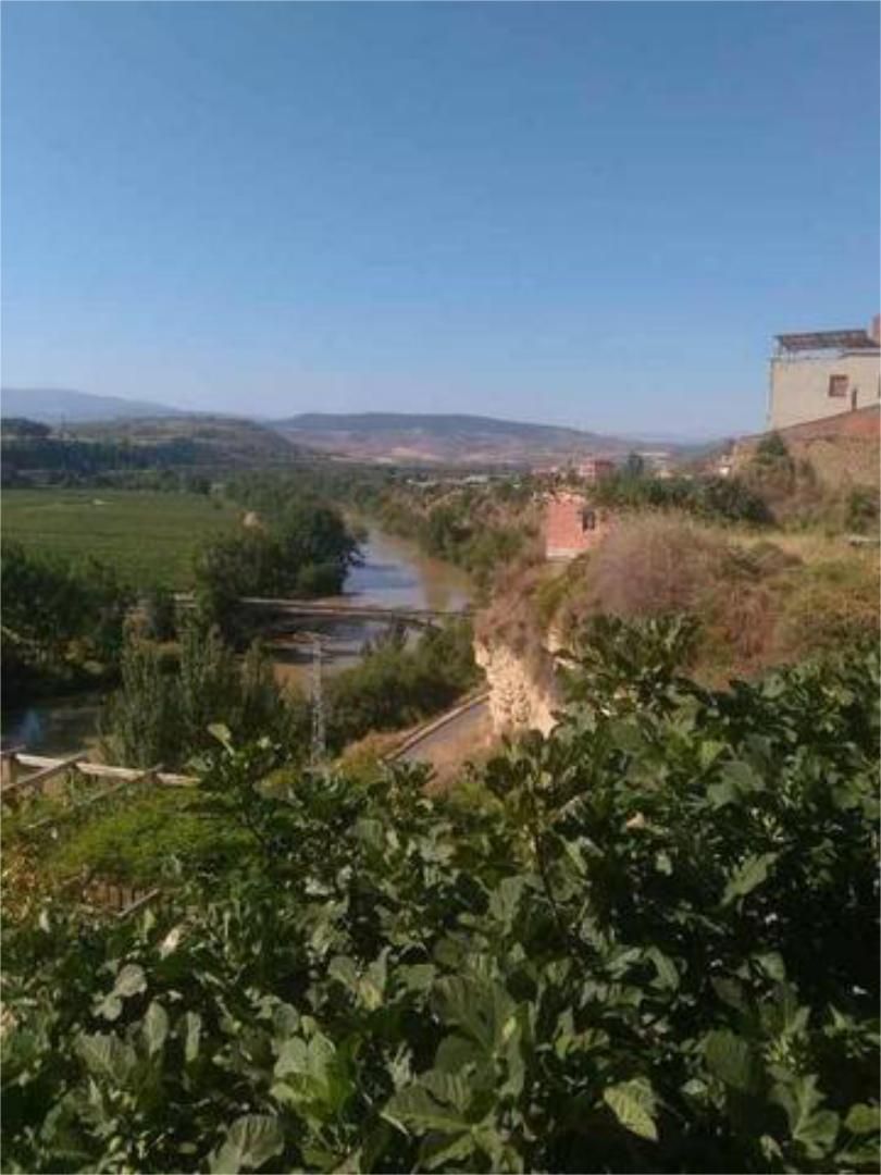 Vista exterior de Casa o xalet en venda en Lapuebla de Labarca amb Terrassa, Traster i Moblat