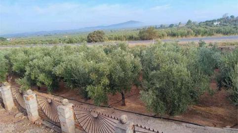 Casa o xalet en venda a Castellar, Jaén - imatge 3 Foto 3 de Casa o xalet en venda a Castellar, Jaén