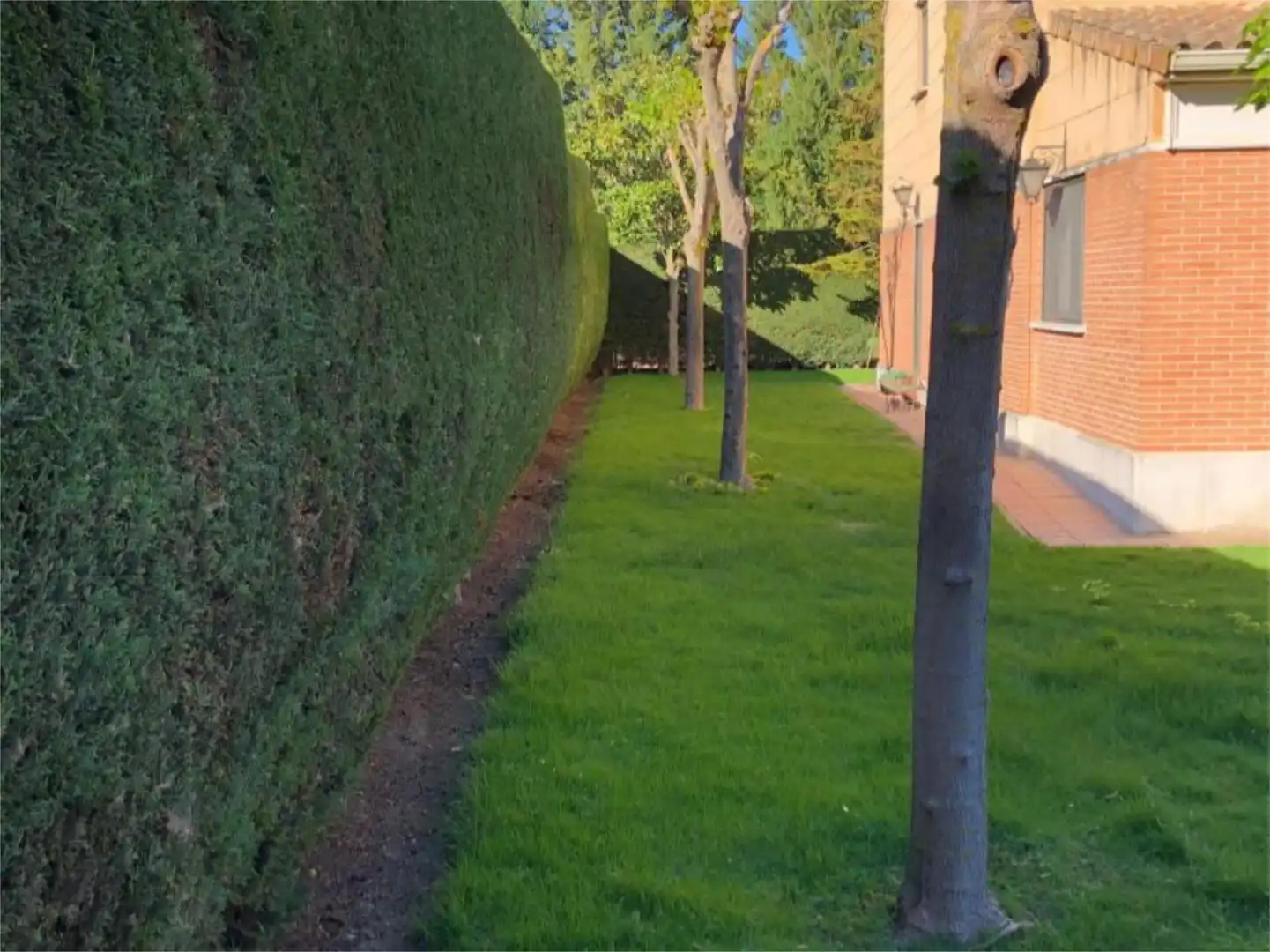 Pis en venda a Calle Roma, 21, Las Villas - Valparaiso - El Peral Jardí de Pis en venda en Valladolid amb Calefacció, Jardí privat i Parquet