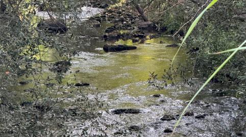 Flat for sale in Calle Diseminados, 322, Riópar, Albacete - image 3 Photo 3 of Flat for sale in Calle Diseminados, 322, Riópar, Albacete