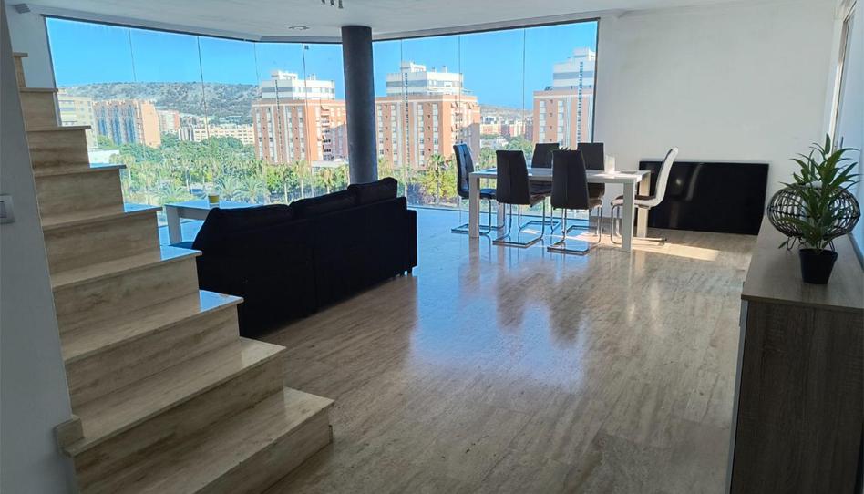 Àtic de lloguer a Carrer Beniarbeig, 9, Garbinet - Parque de las Avenidas, Alicante - imatge 1 Foto 1 de Àtic de lloguer a Carrer Beniarbeig, 9, Garbinet - Parque de las Avenidas, Alicante