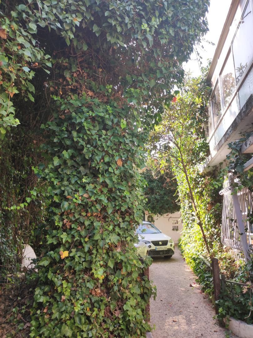 Exterior view of Flat to rent in Benalmádena  with Air Conditioner, Heating and Private garden