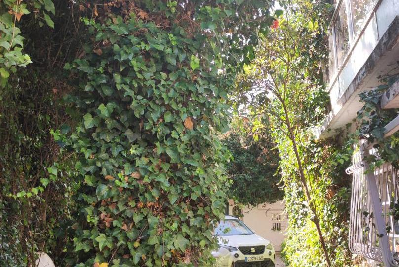 Photo 1 of Flat to rent in Calle las Jacarandas, 2, Solymar, Málaga