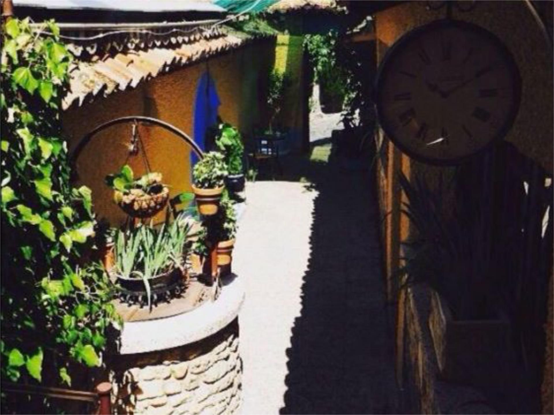 Jardí de Local en venda en Patones