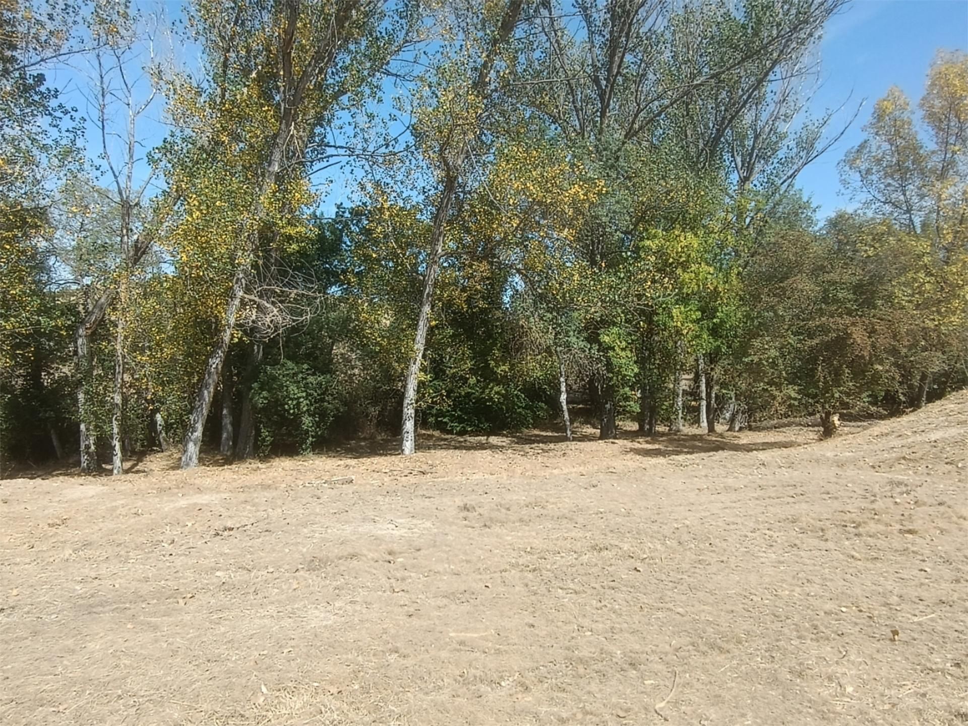 Land for sale in Jaca
