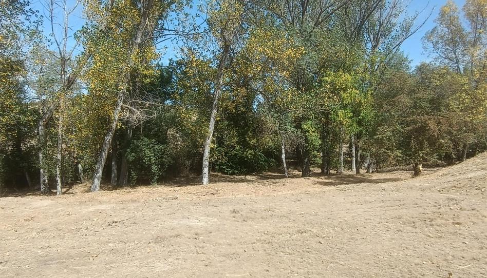 Foto 1 de Terreno en venta en Colonia de Ascara, 2, Poblaciones norte, Huesca