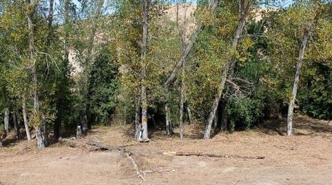 Foto 4 de Terreno en venta en Colonia de Ascara, 2, Poblaciones norte, Huesca