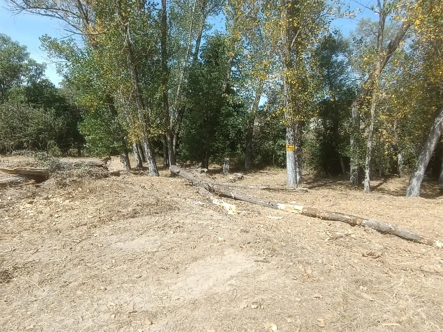 Grundstücke zum Verkauf in Jaca