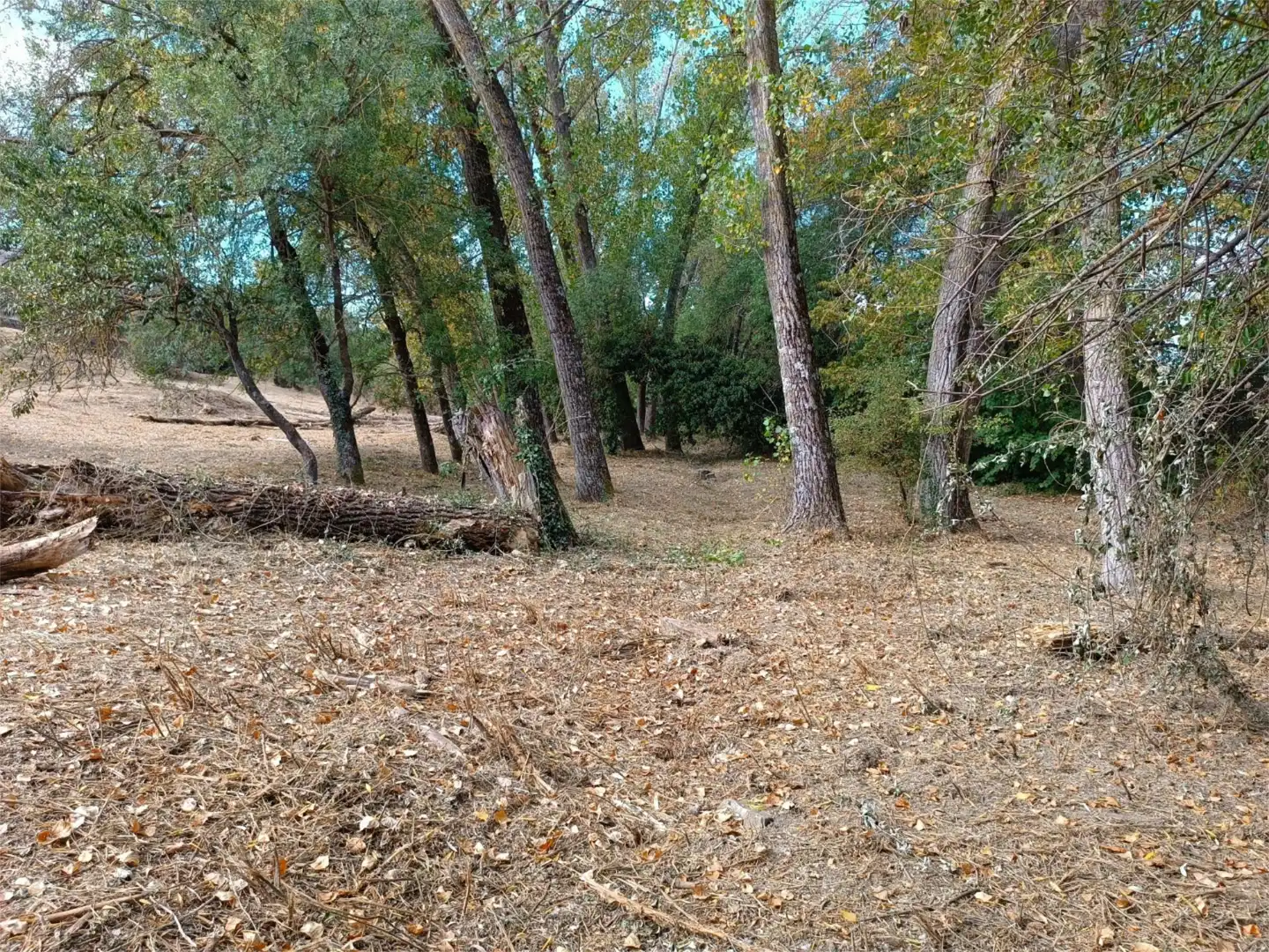 Grundstücke zum Verkauf in Jaca