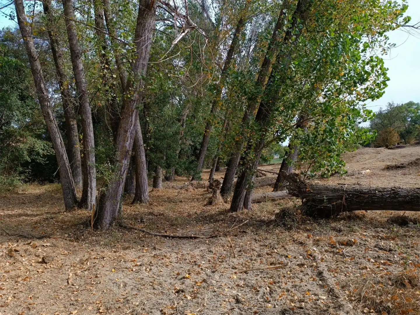Grundstücke zum Verkauf in Jaca