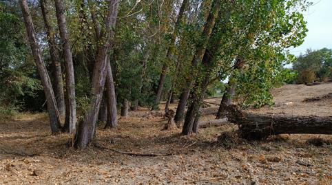 Foto 3 de Terreno en venta en Colonia de Ascara, 2, Poblaciones norte, Huesca