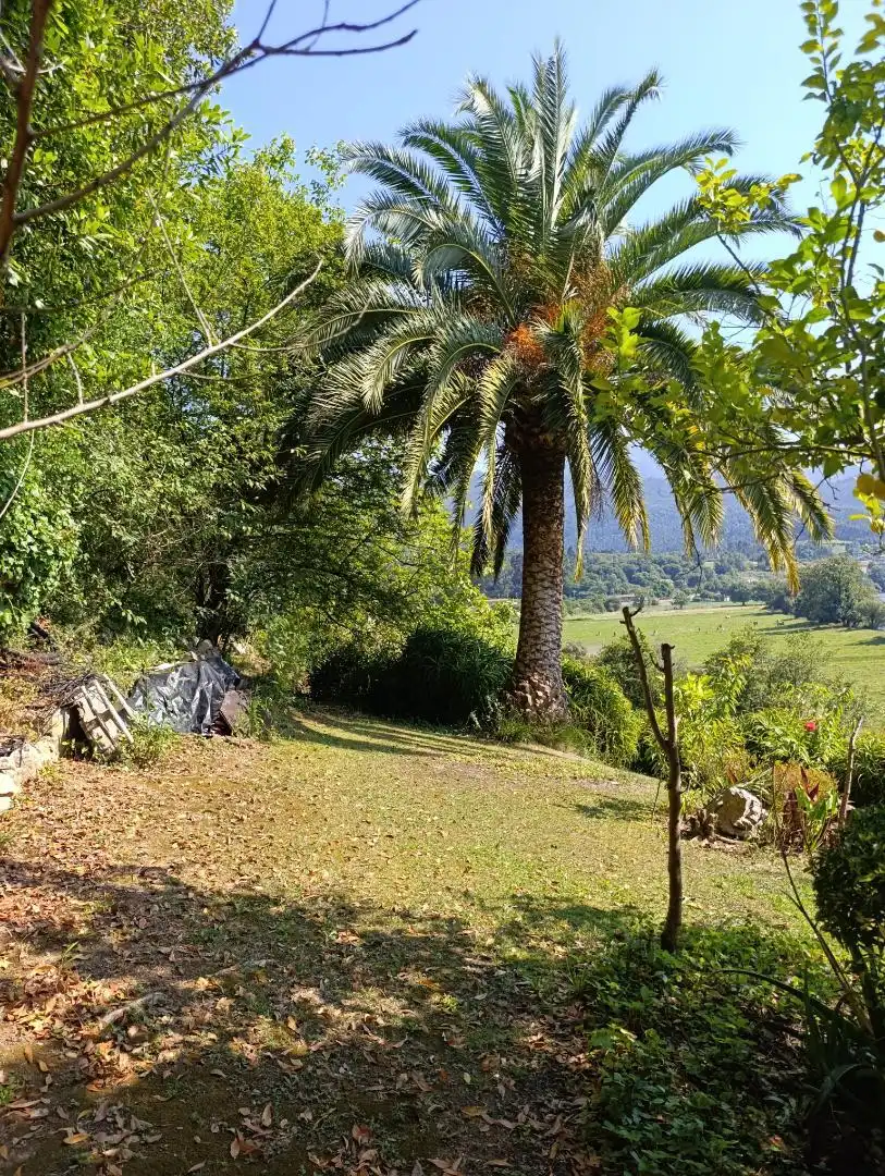 Jardí de Casa o xalet en venda en Ribadesella amb Calefacció, Jardí privat i Terrassa