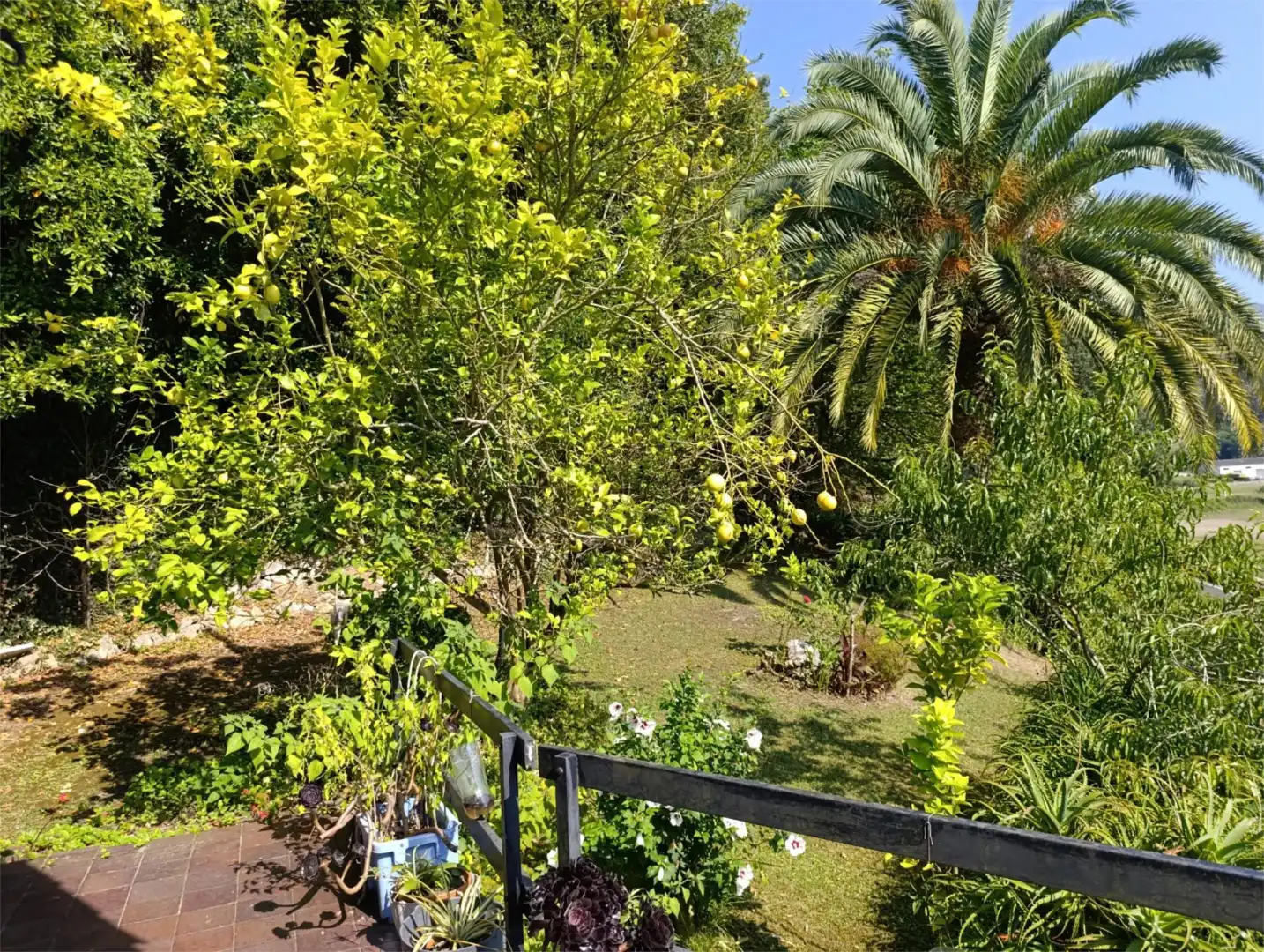 Jardí de Casa o xalet en venda en Ribadesella amb Calefacció, Jardí privat i Terrassa