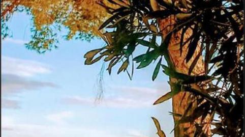 Casa adosada en venta en Buenavista - Valparaíso - La Legua, Toledo - imagen 4 Foto 4 de Casa adosada en venta en Buenavista - Valparaíso - La Legua, Toledo