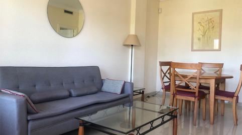 Photo 3 of Flat to rent in Avinguda Oliva Nova, 6, Oliva Nova, Oliva