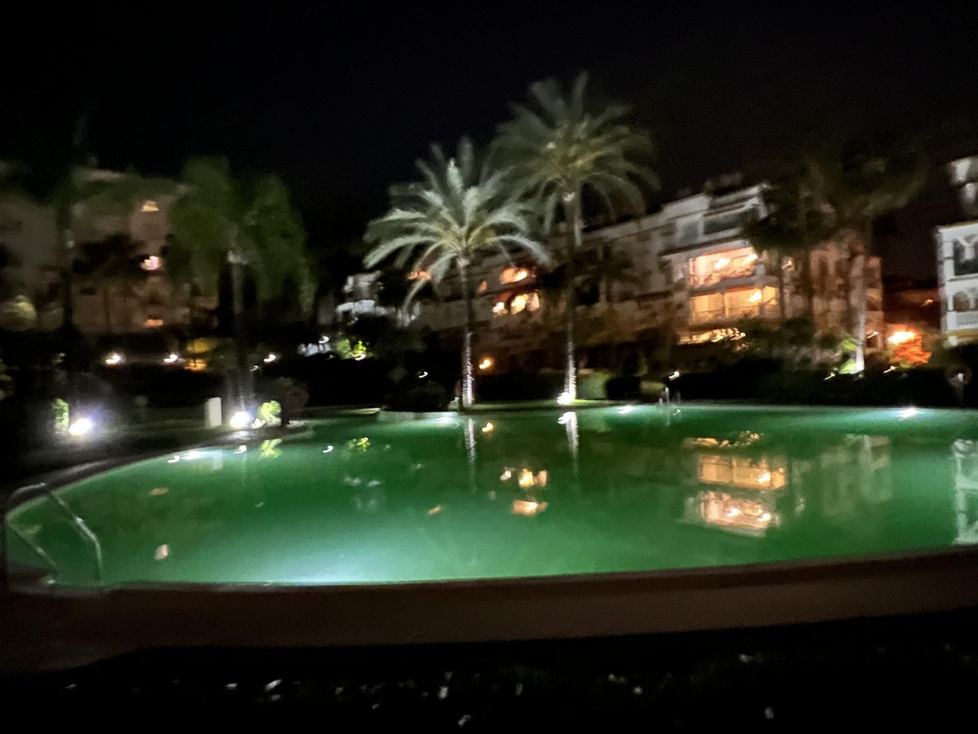 Piscina de Piso de alquiler en Marbella con Aire acondicionado, Calefacción y Jardín privado