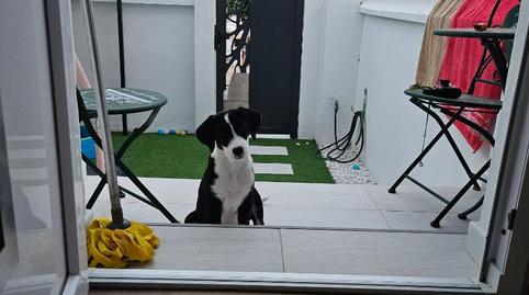 Casa adosada en venda a Plaza del Villar, 15, Los Barrios, Cádiz - imatge 2 Foto 2 de Casa adosada en venda a Plaza del Villar, 15, Los Barrios, Cádiz