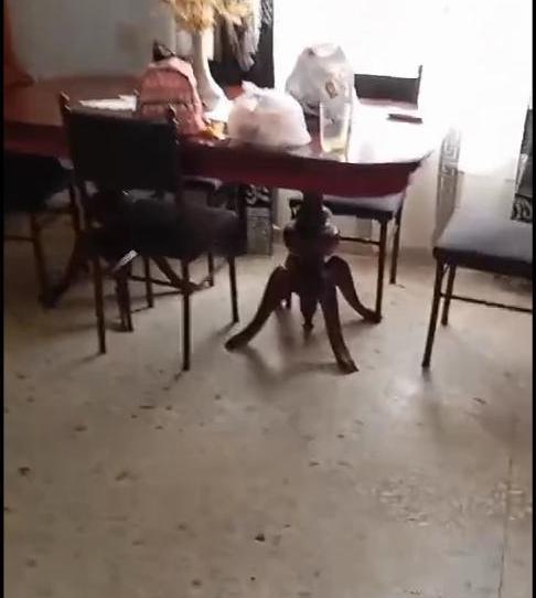 Casa adosada de lloguer a Calle Antonio Solo Serrano, 26, Peal de Becerro, Jaén - imatge 1 Foto 1 de Casa adosada de lloguer a Calle Antonio Solo Serrano, 26, Peal de Becerro, Jaén