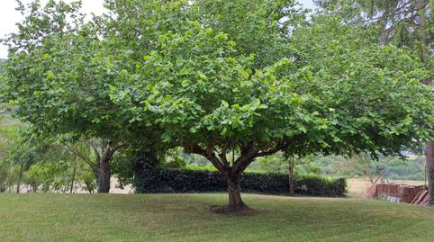 Photo 4 of Flat for sale in Calle Iglesia, 14, Valle de Losa, Burgos