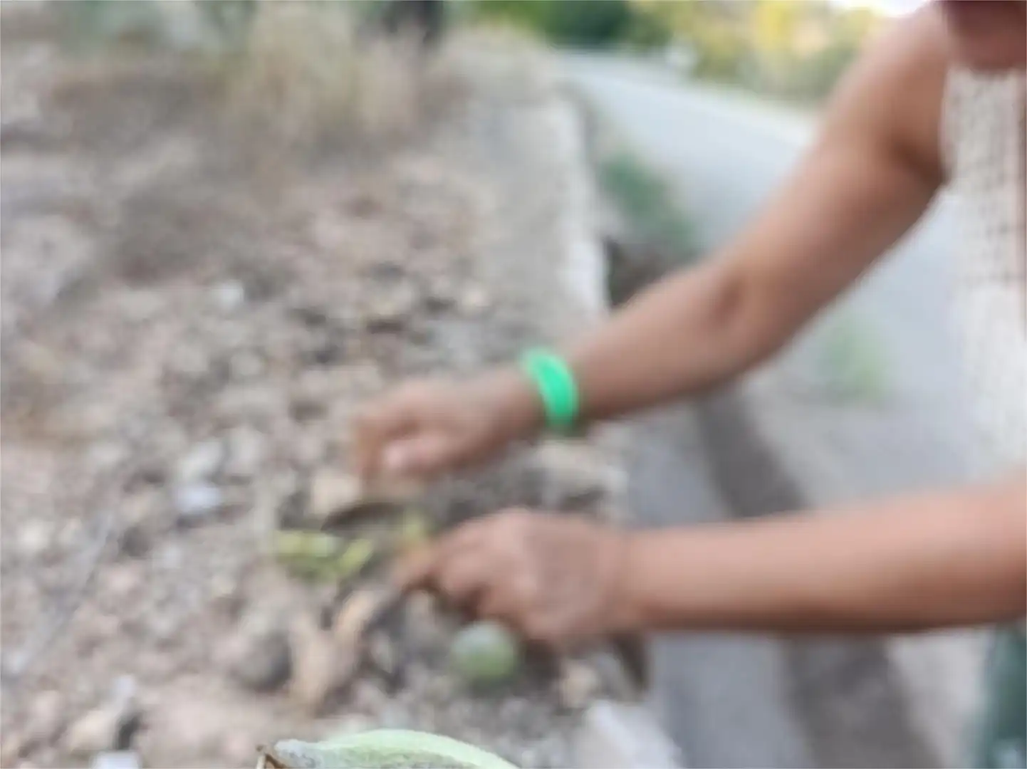 Trastero de alquiler en Calle Bravo Murillo, 12, Santiago el Mayor Jardín de Trastero de alquiler en Murcia