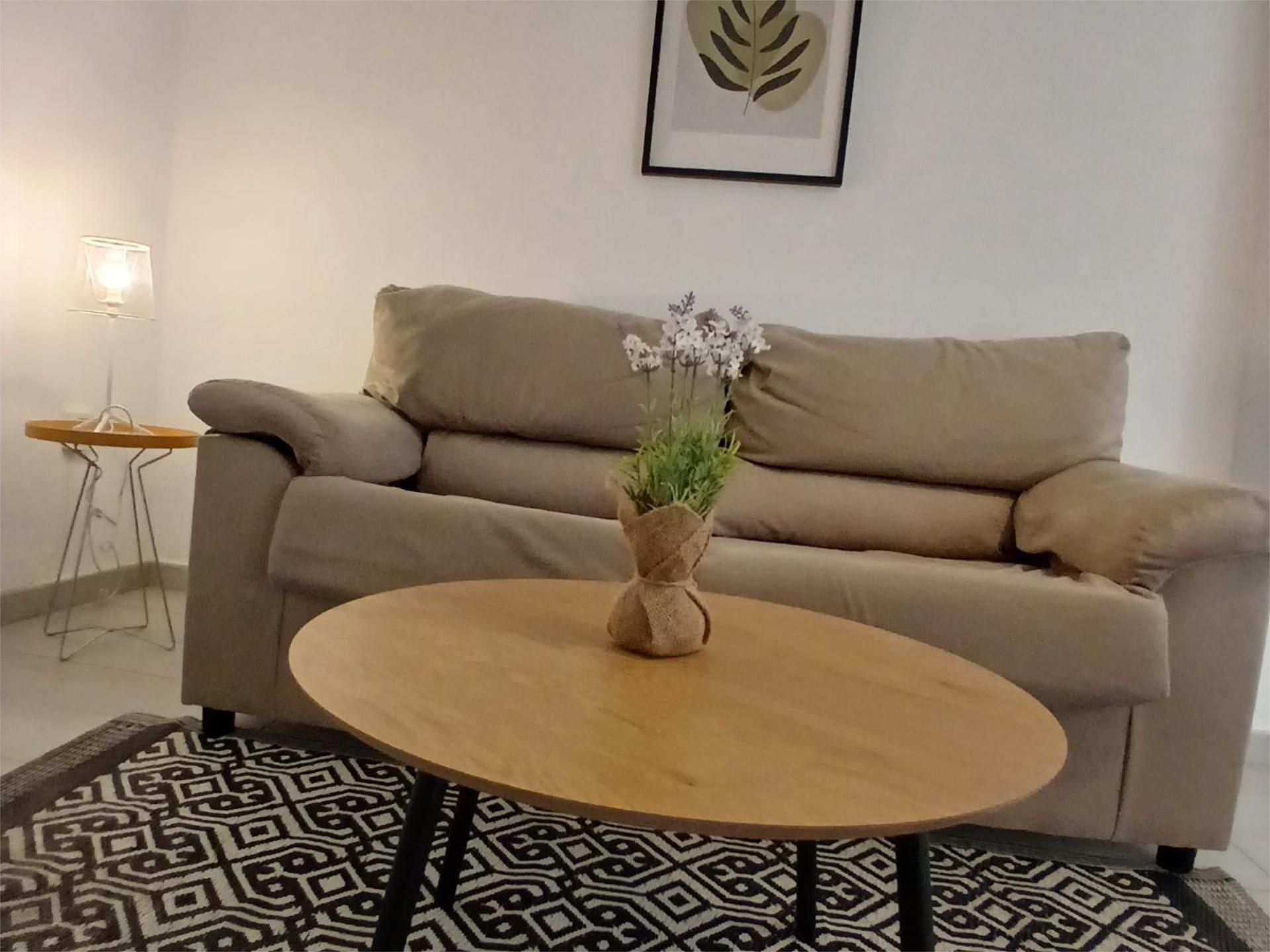 Sala de estar de Piso de alquiler en  Jaén Capital con Aire acondicionado