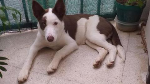 Foto 3 de Planta baixa en venda a Calle Charco, 2, Parada de Arriba, Salamanca