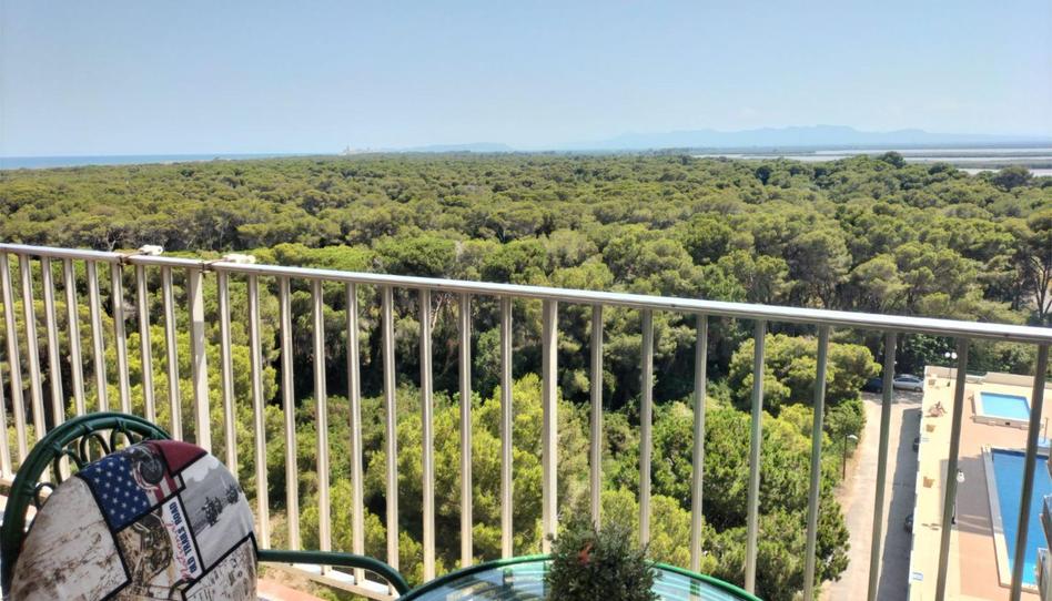 Flat to rent in Avenida Gola del Puchol, 24, El Saler, Valencia - image 1 Photo 1 of Flat to rent in Avenida Gola del Puchol, 24, El Saler, Valencia