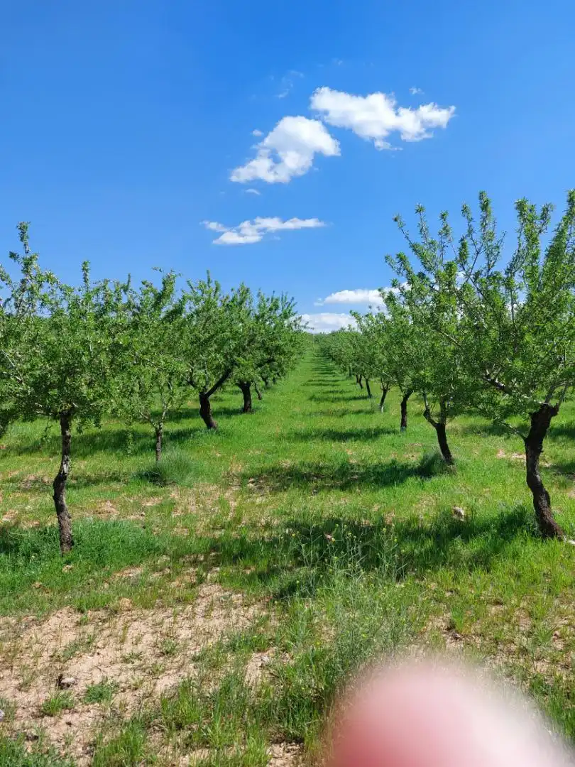 Country homes for sale in La Peza