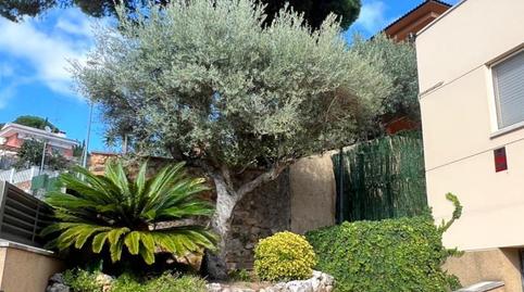 Casa adosada en venta en Carrer Bonavista, 26, Mas Mora - Sant Daniel, Barcelona - imagen 4 Foto 4 de Casa adosada en venta en Carrer Bonavista, 26, Mas Mora - Sant Daniel, Barcelona