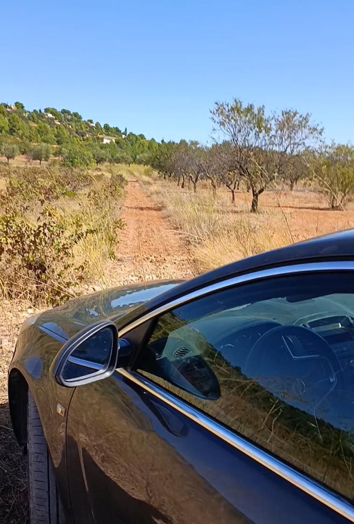 Land for sale in Chiva