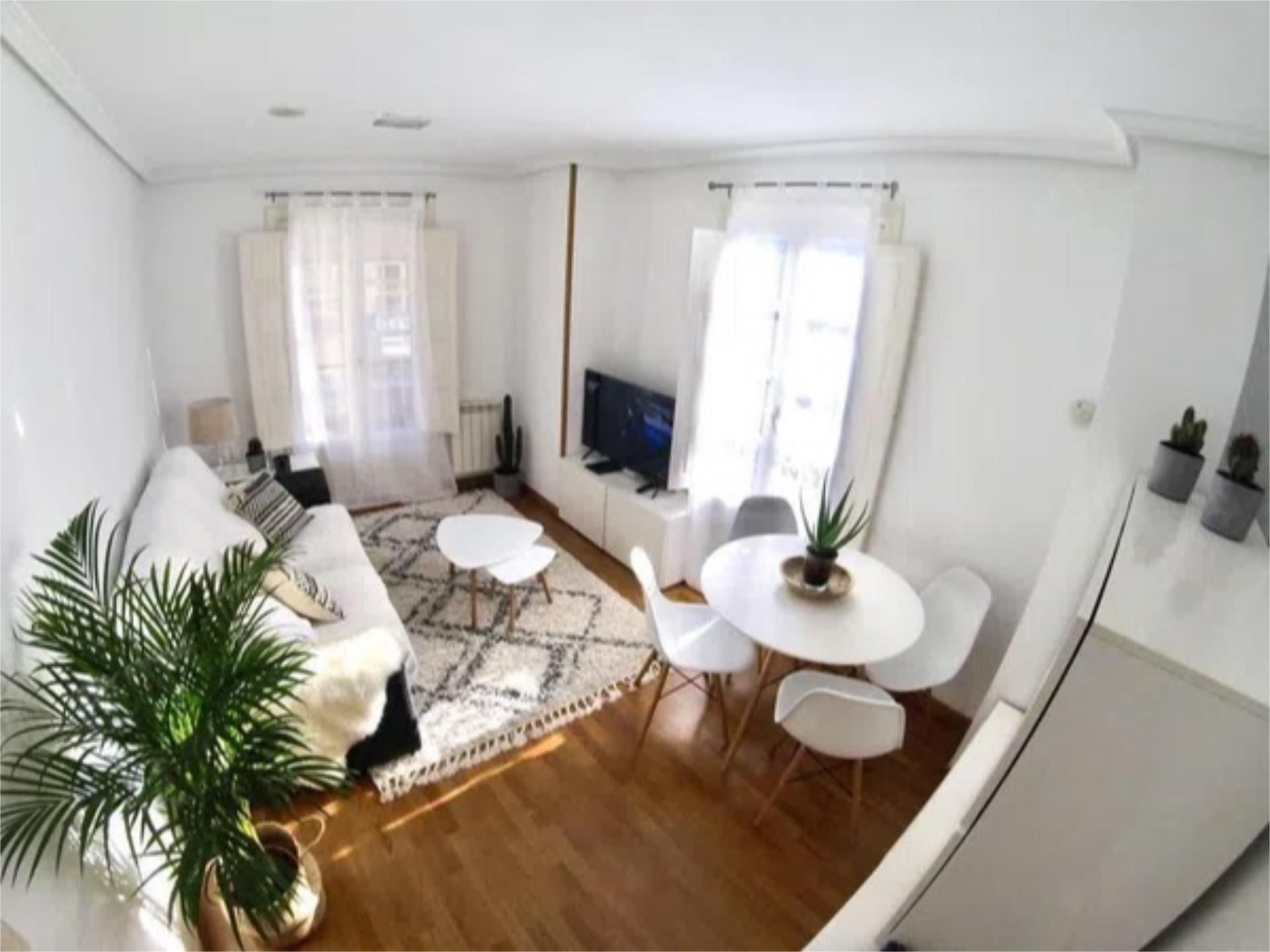 Living room of Flat to rent in A Coruña Capital   with Heating, Parquet flooring and Furnished