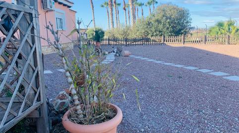 Foto 2 de Planta baixa en venda a Vereda Sobreviñas, 38, Dolores, Alicante