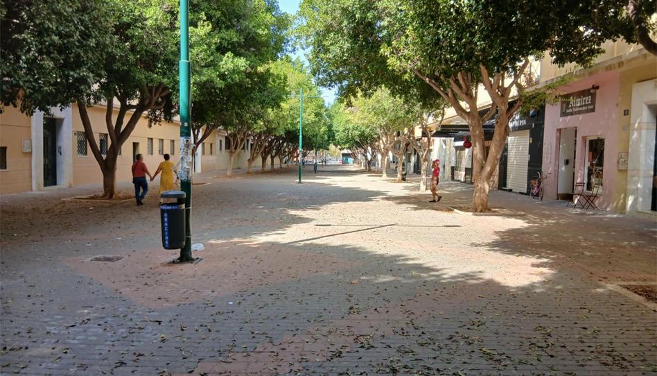 Photo 1 of Flat to rent in Calle Margarita Xirgu, 6, El Cónsul - Ciudad Universitaria - El Romeral, Málaga