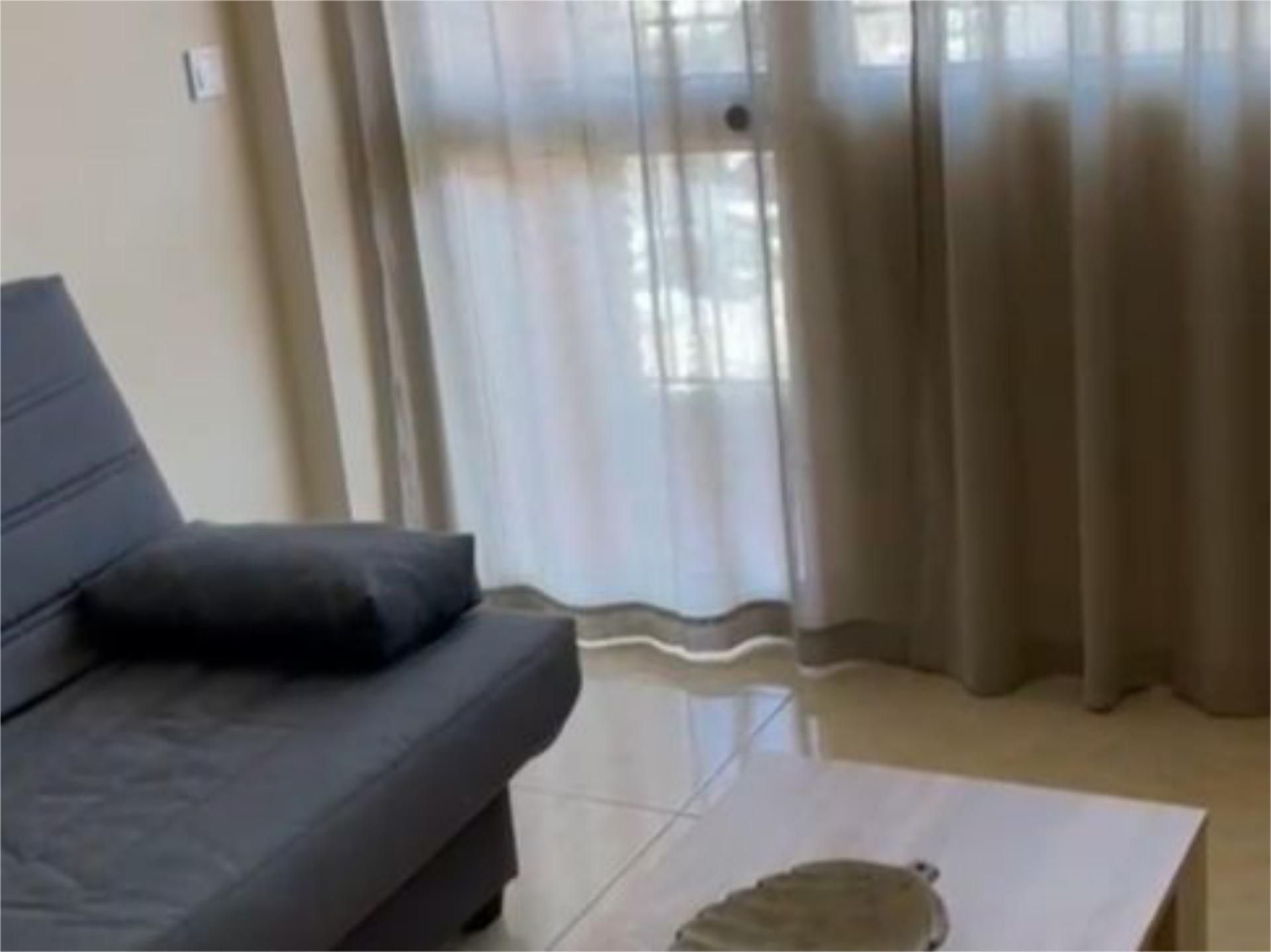 Living room of Flat to rent in Málaga Capital  with Terrace and Furnished