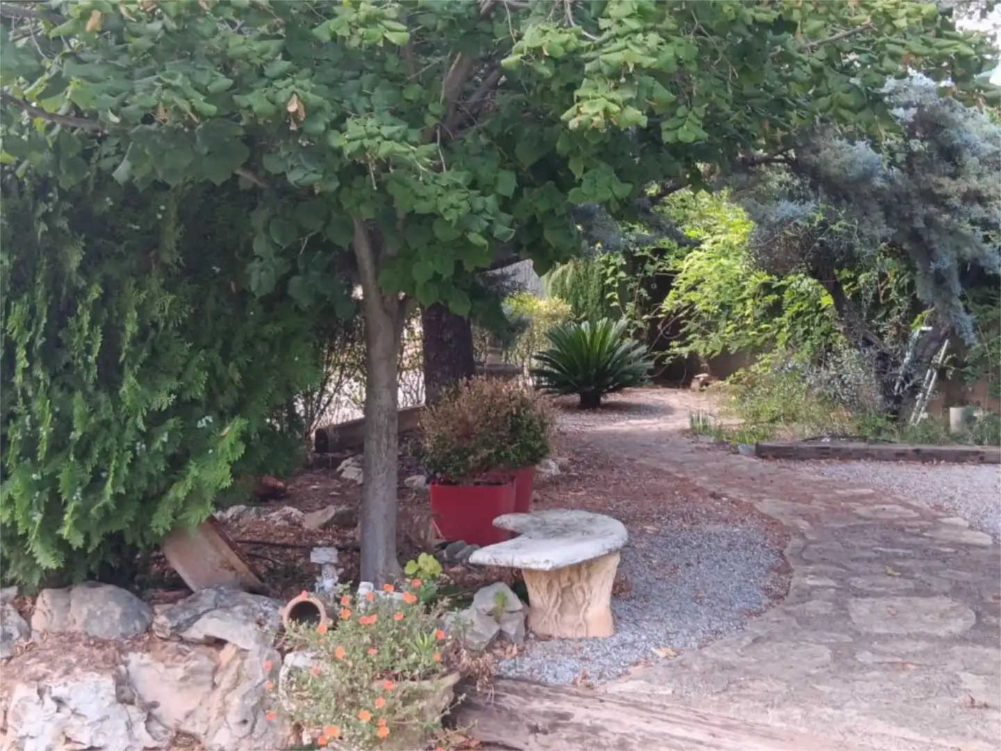 Jardín de Casa o chalet en venta en Ontinyent con Aire acondicionado, Terraza y Piscina
