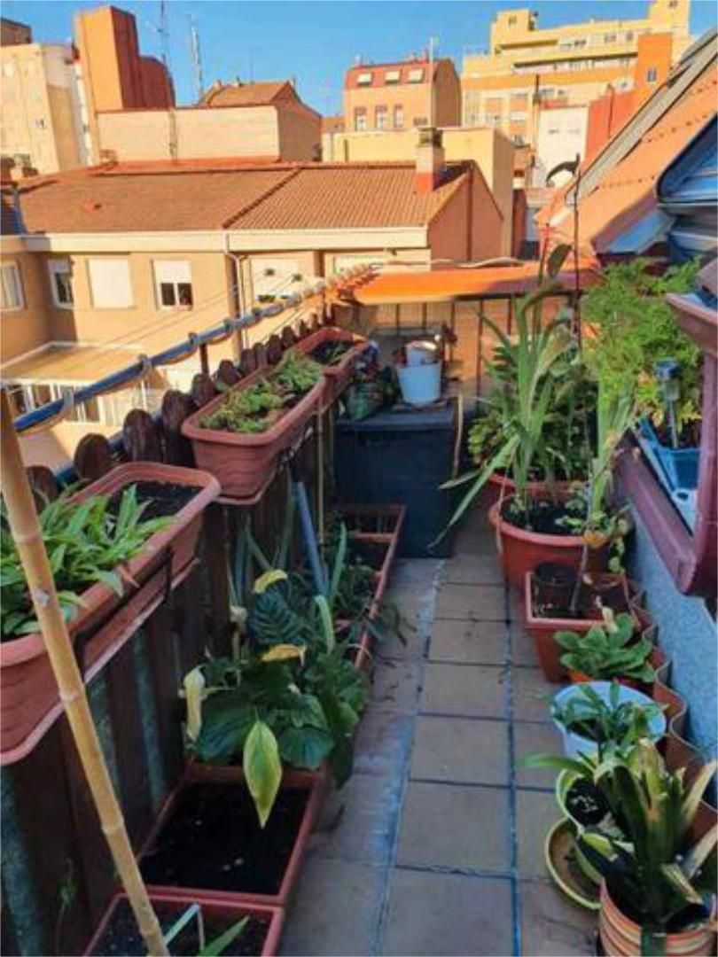 Apartamento de alquiler en San Mamés - La Palomera