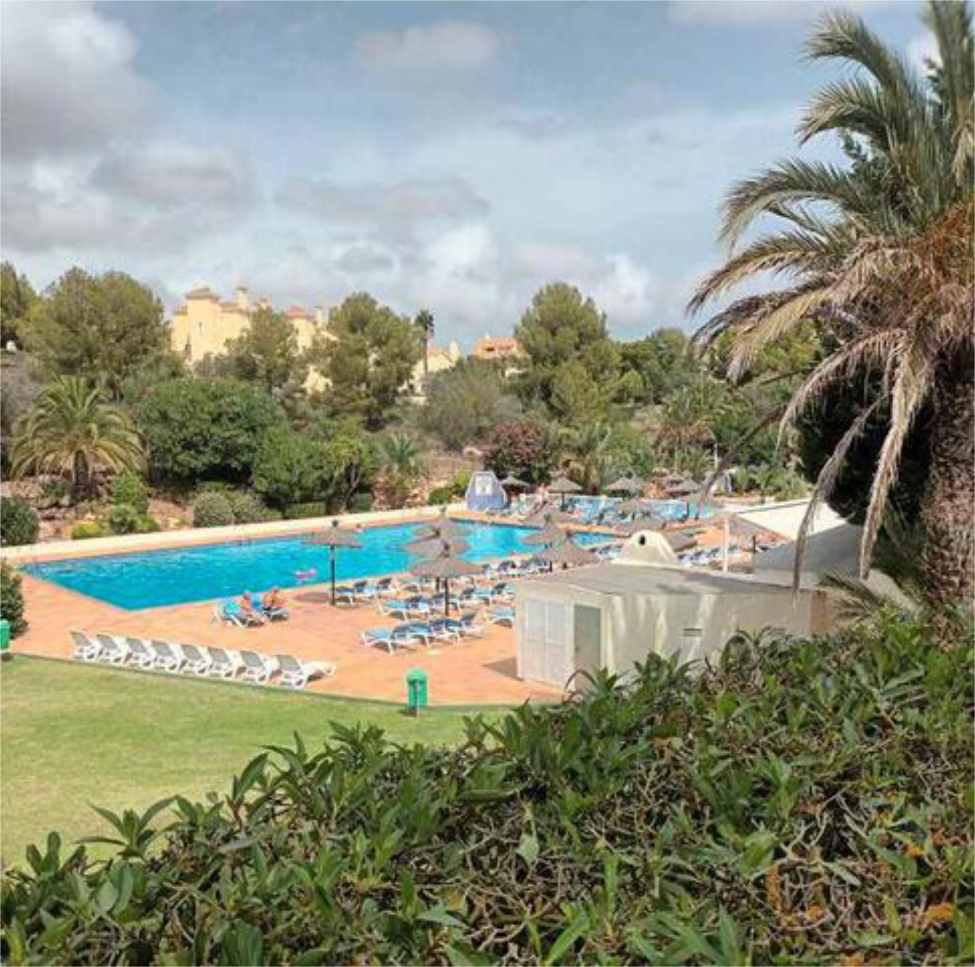 Piscina de Apartamento en venta en  Murcia Capital con Jardín privado y Piscina