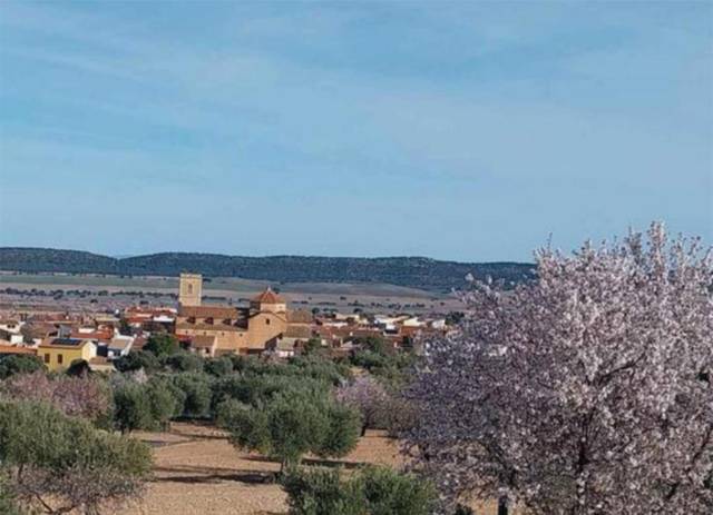 Terreno en Venta en Plaza Mayor, 3E en Alatoz