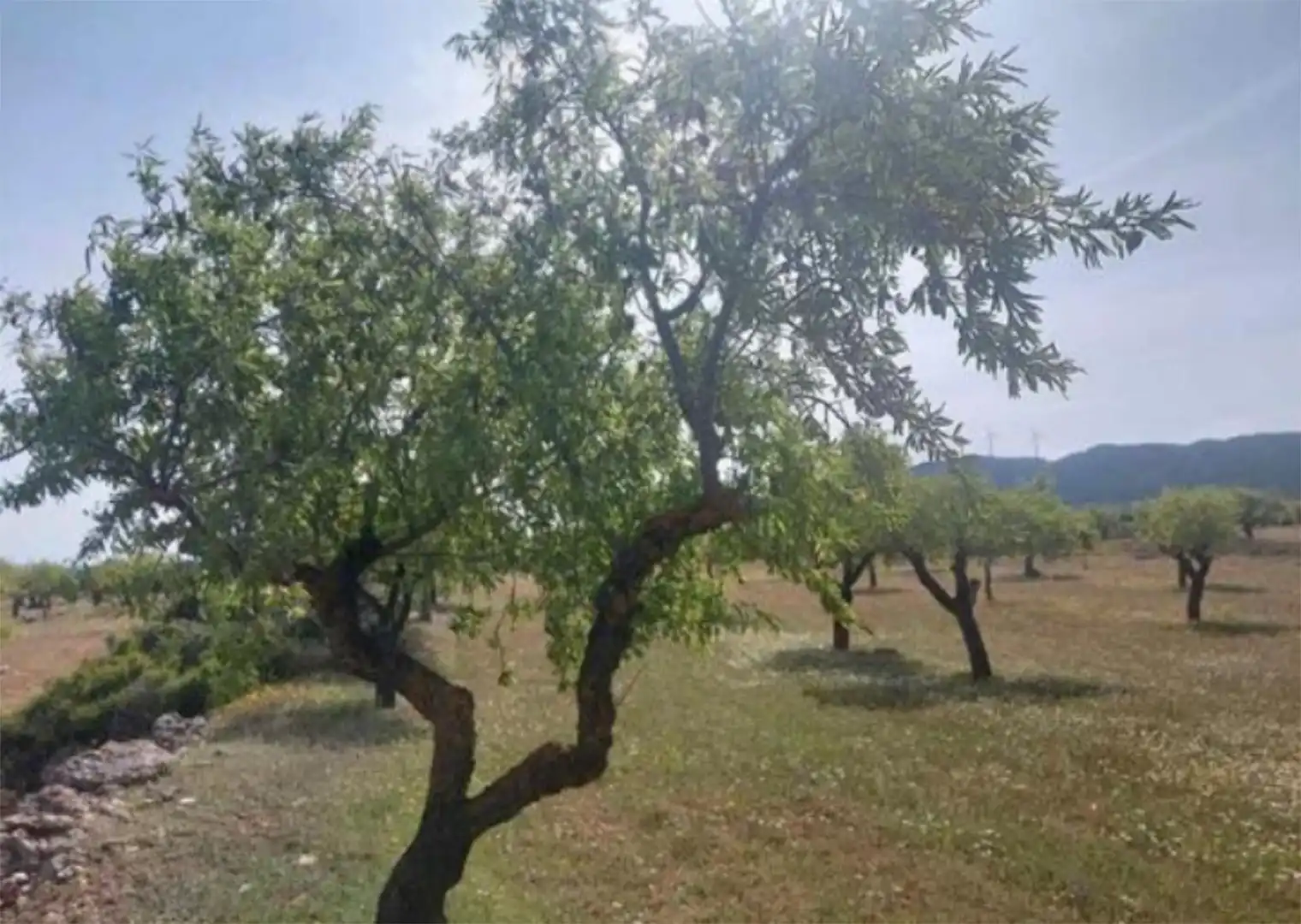 Terreno en venta en Plaza Mayor, Alatoz Terreno en venta en Alatoz