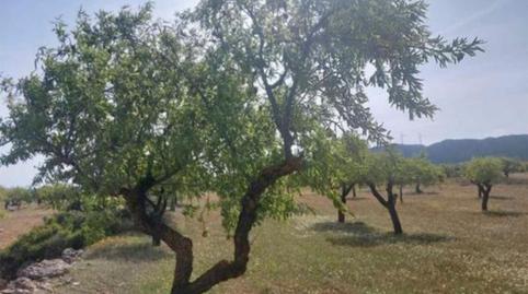 Land for sale in Plaza Mayor, 3e, Alatoz, Albacete - image 2 Photo 2 of Land for sale in Plaza Mayor, 3e, Alatoz, Albacete