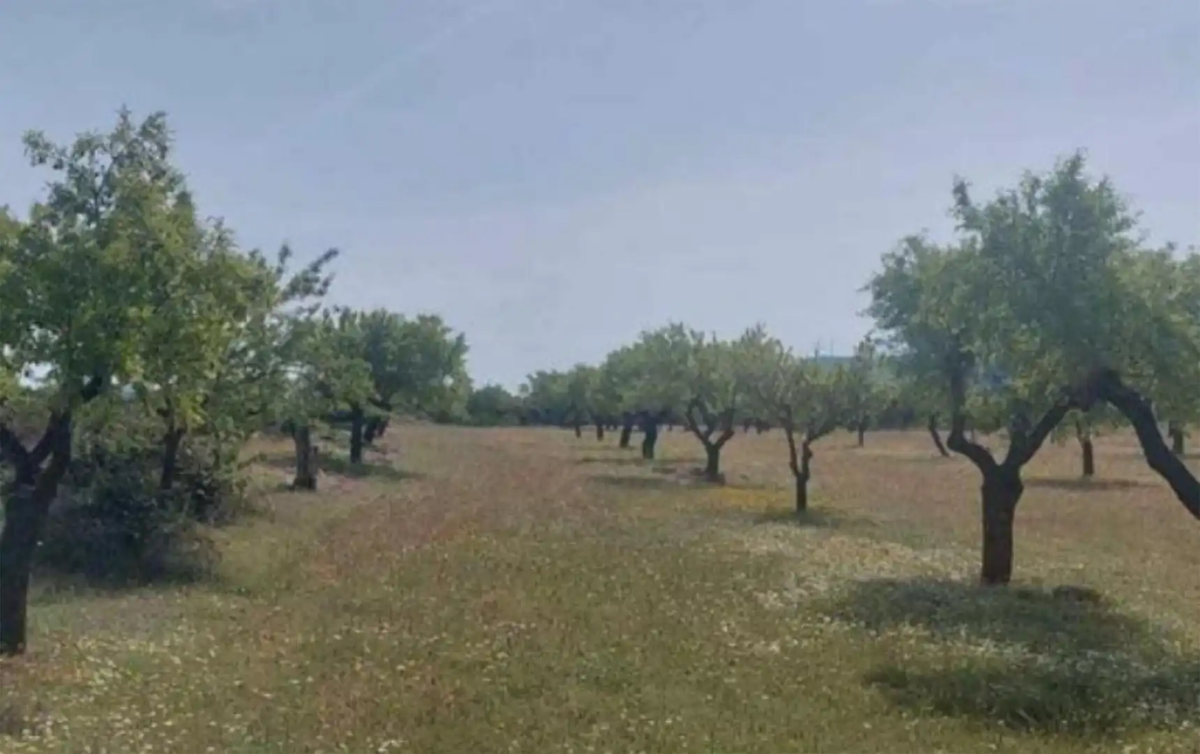 Terreno en venta en Plaza Mayor, Alatoz Terreno en venta en Alatoz