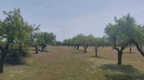 Land for sale in Plaza Mayor, 3e, Alatoz, Albacete - image 3 Photo 3 of Land for sale in Plaza Mayor, 3e, Alatoz, Albacete