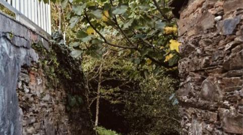 Foto 5 de Finca rústica en venda a Lu-651, 55, Folgoso do Courel, Lugo